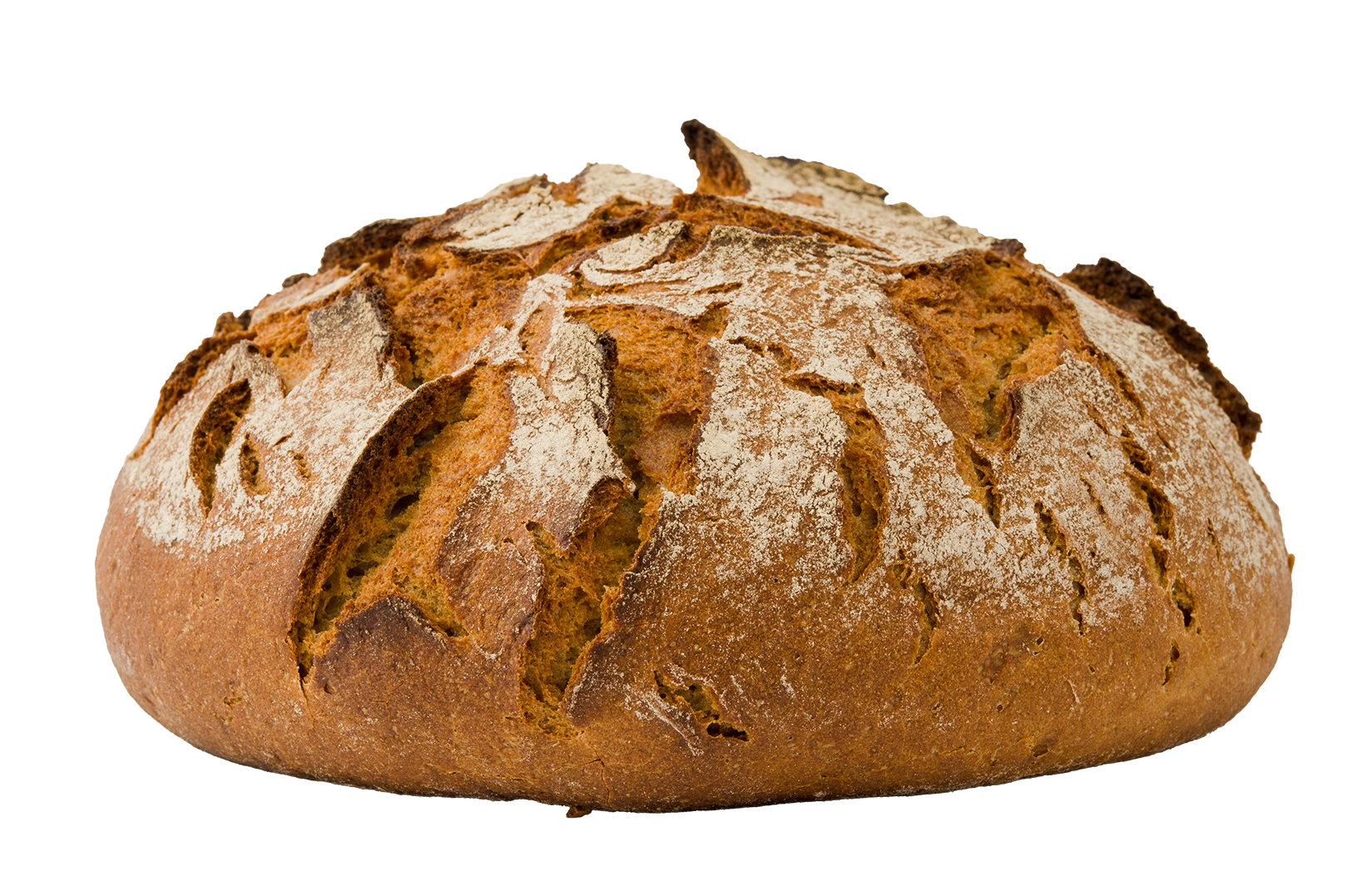 Brot Startseite